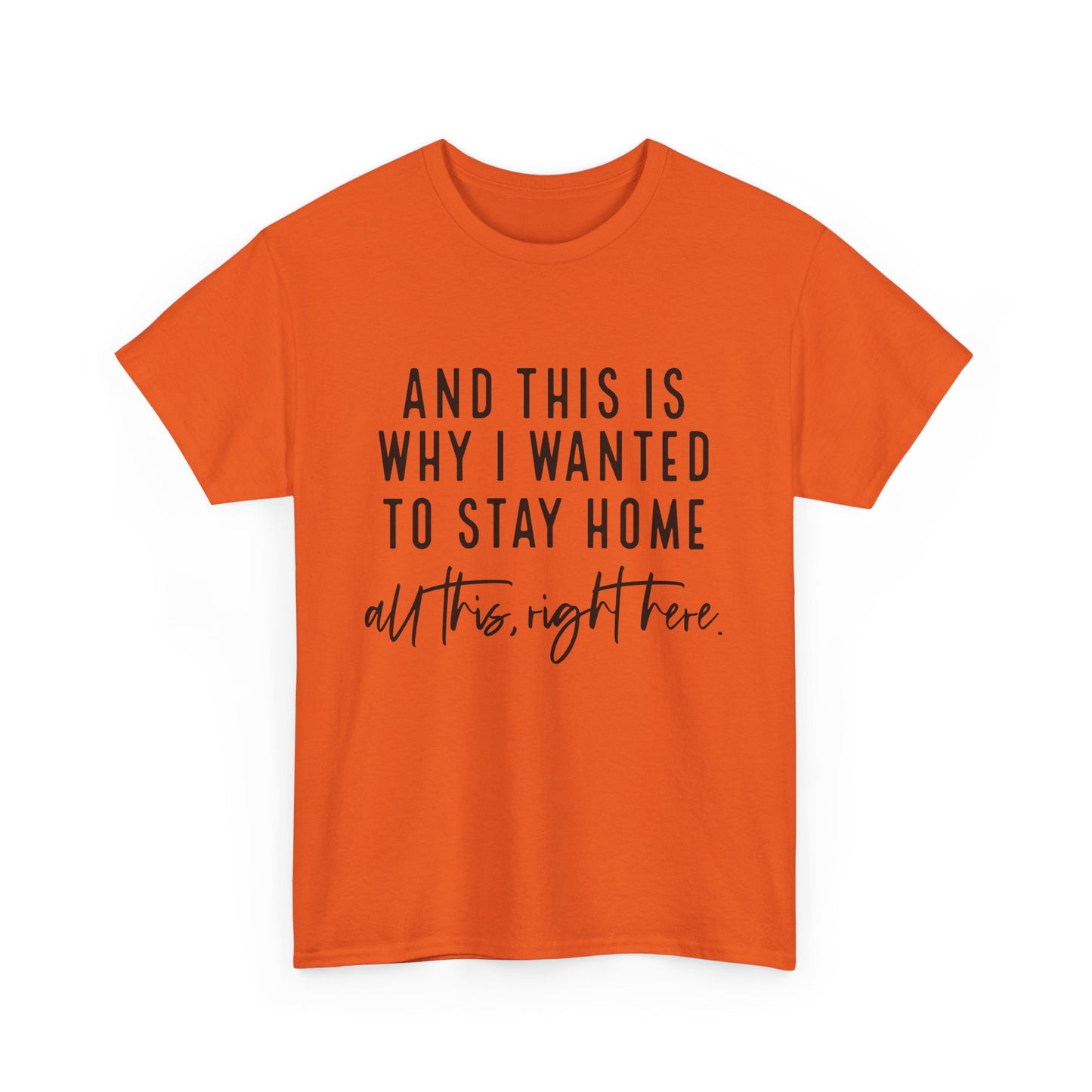 Unisex Stay Home Tee