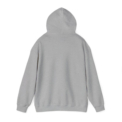 Hooded Sweatshirt - It's Over For You Hoes